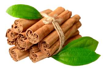 Ceylon kanel