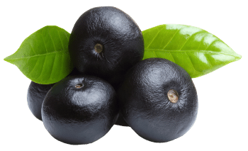 Acai bär