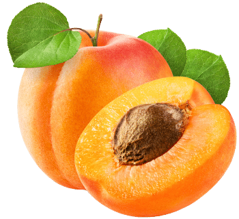 Aprikospulver