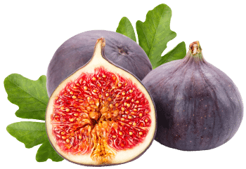 FIG