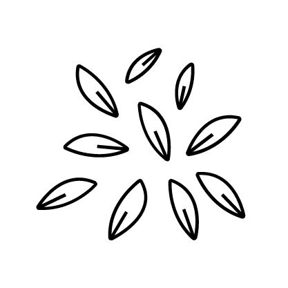 Funktionsikon