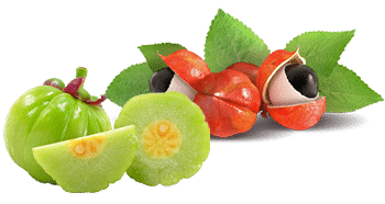 Guarana och Garcinia Cambogia