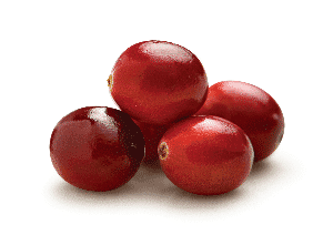 Exocyan